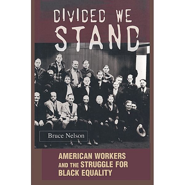 Divided We Stand / Politics and Society in Modern America Bd.12, Bruce Nelson