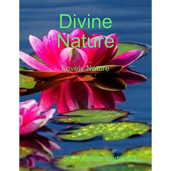 Divine Nature, Sai Krishna Yedavalli