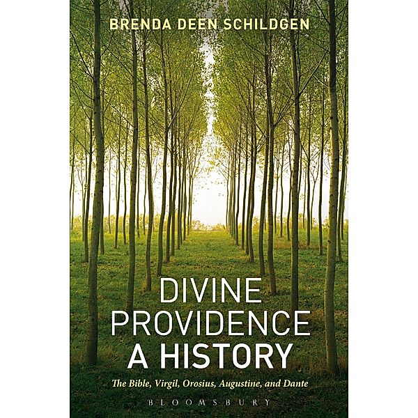 Divine Providence: A History, Brenda Deen Schildgen