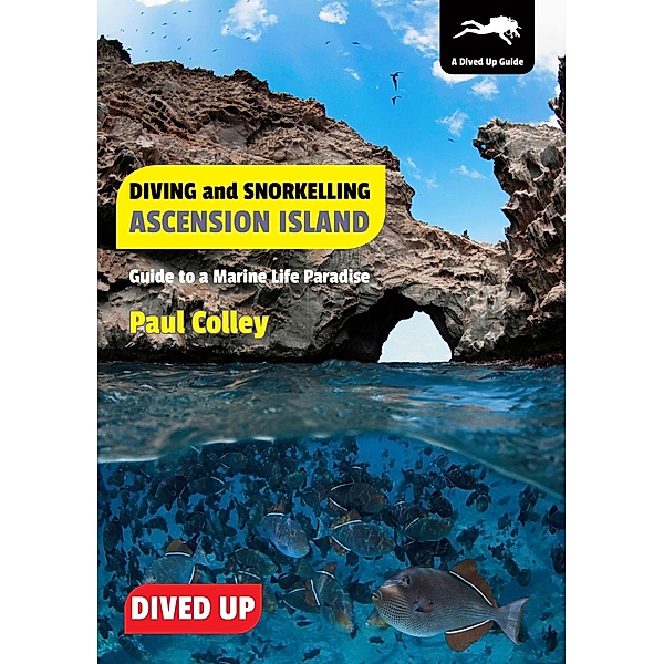 Diving and Snorkelling Ascension Island, Paul Colley