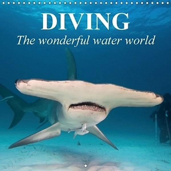 Diving - The wonderful water world (Wall Calendar 2018 300 × 300 mm Square), Elisabeth Stanzer