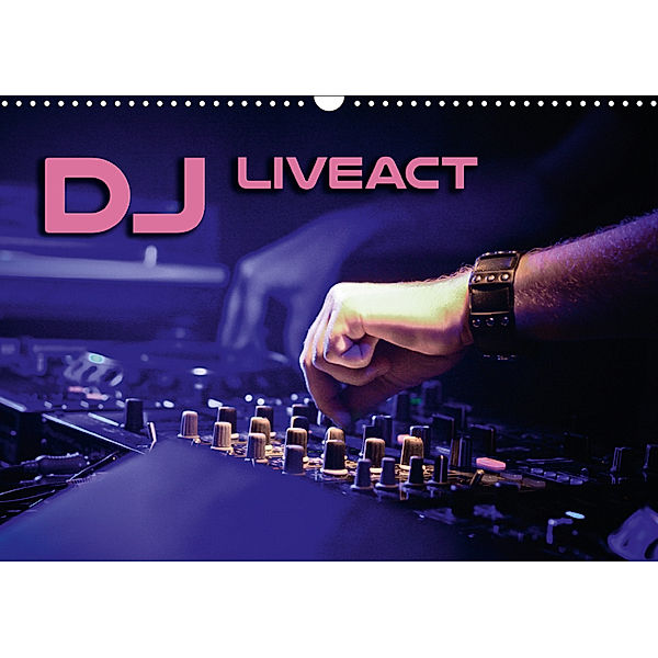 DJ Liveact (Wandkalender 2018 DIN A3 quer), Renate Bleicher