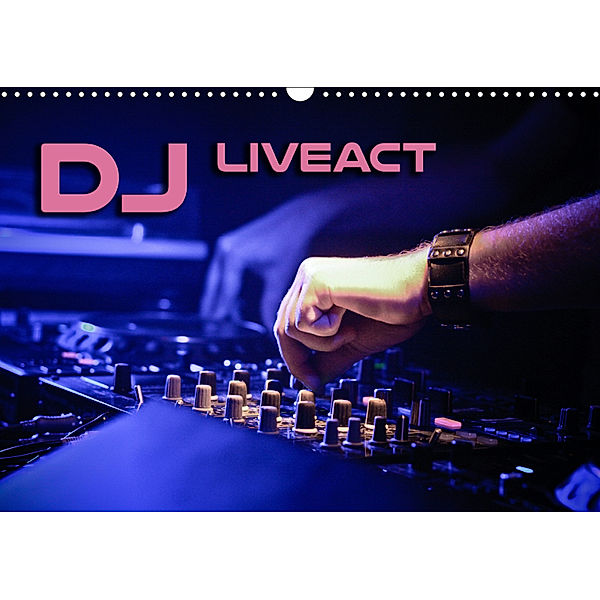 DJ Liveact (Wandkalender 2019 DIN A3 quer), Renate Bleicher