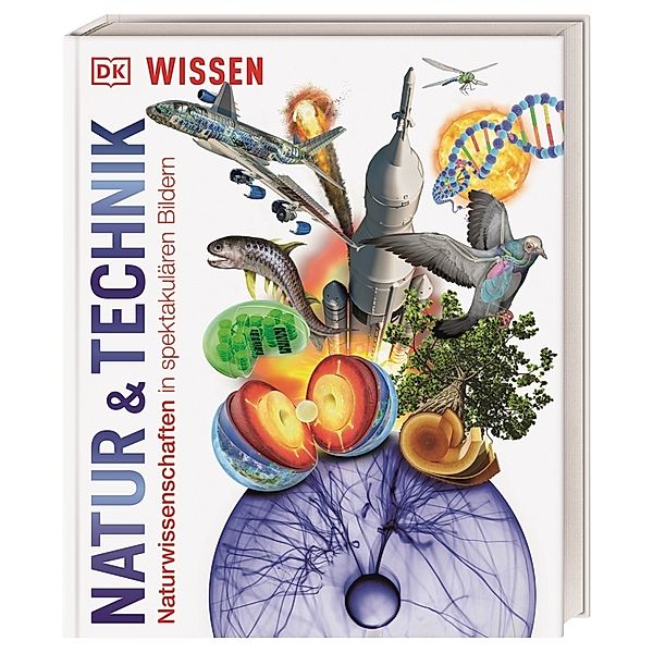 DK Wissen. Natur & Technik, Abigail Beall, Jack Challoner, Derek Harvey