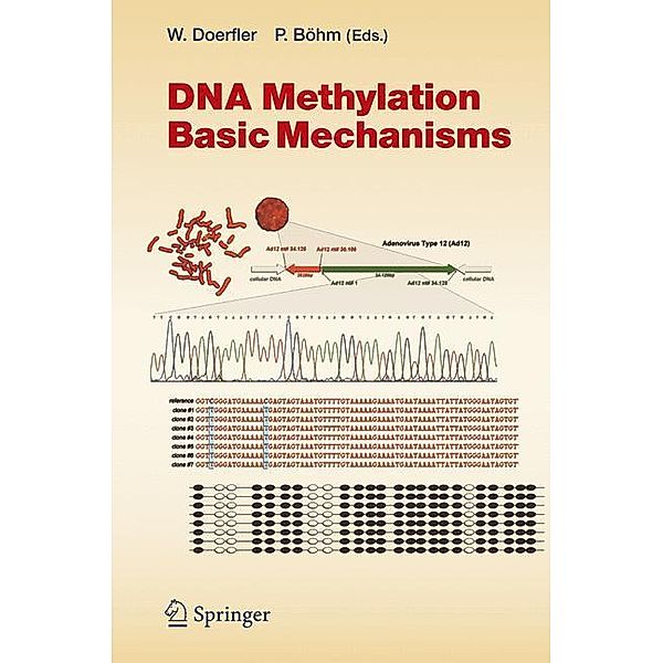 DNA Methylation: Basic Mechanisms