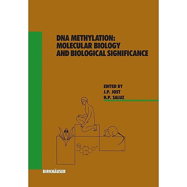 DNA Methylation / Experientia Supplementum Bd.64, J. Jost, H. Saluz