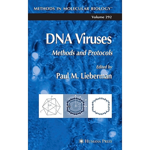 DNA Viruses / Methods in Molecular Biology Bd.292