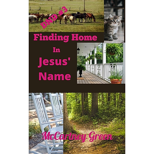 DND #3 Finding Home - In Jesus' Name (DND- In Jesus' Name, #3) / DND- In Jesus' Name, McCartney Green