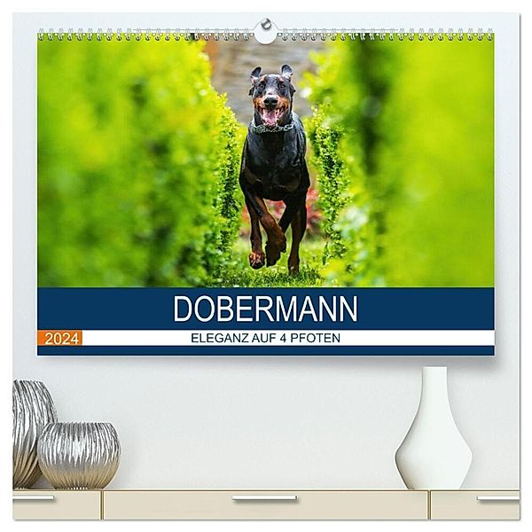 Dobermann 2024 (hochwertiger Premium Wandkalender 2024 DIN A2 quer), Kunstdruck in Hochglanz, Annett Mirsberger