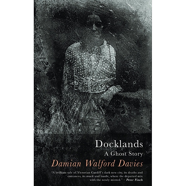 Docklands, Damian Walford Davies