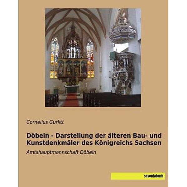 Döbeln - Darstellung der älteren Bau- und Kunstdenkmäler des Königreichs Sachsen, Cornelius Gurlitt