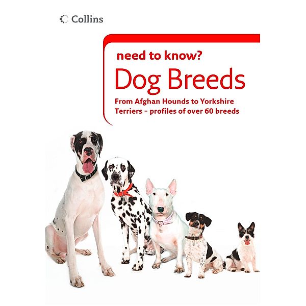 Dog Breeds / Collins Need to Know?, Collins