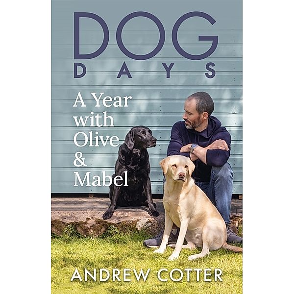 Dog Days, Andrew Cotter