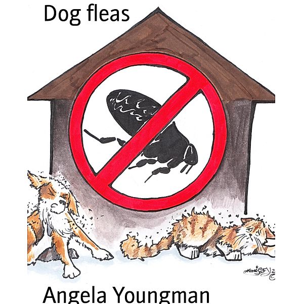 Dog fleas, Angela Youngman