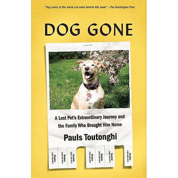 Dog Gone, Pauls Toutonghi