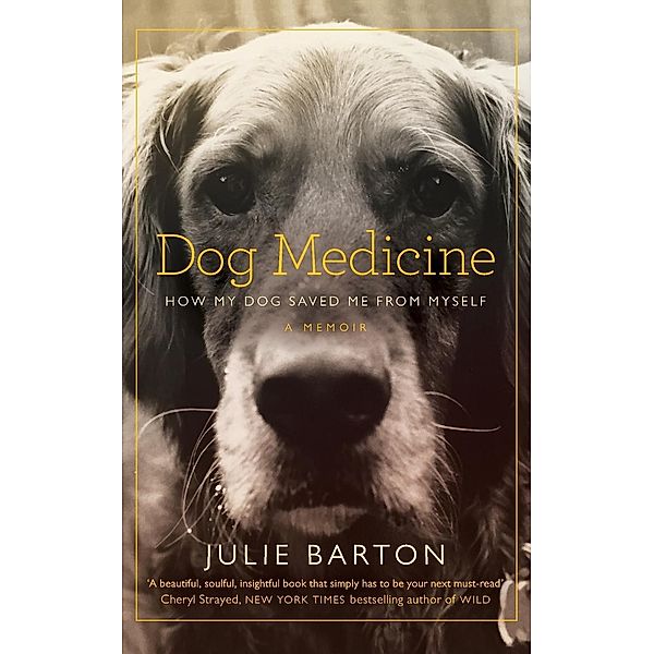 Dog Medicine, Julie Barton