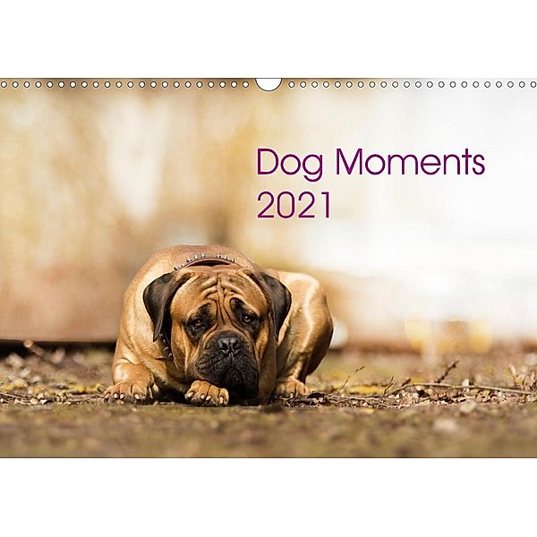 Dog Moments 2021 (Wandkalender 2021 DIN A3 quer), Jenny Gauger