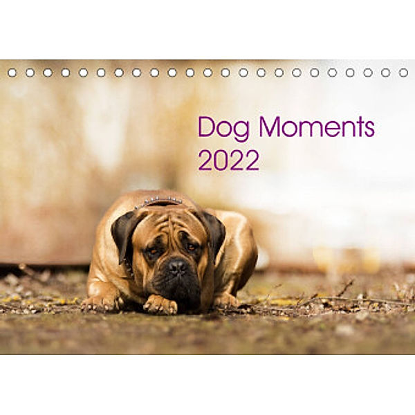 Dog Moments 2022 (Tischkalender 2022 DIN A5 quer), Jenny Gauger