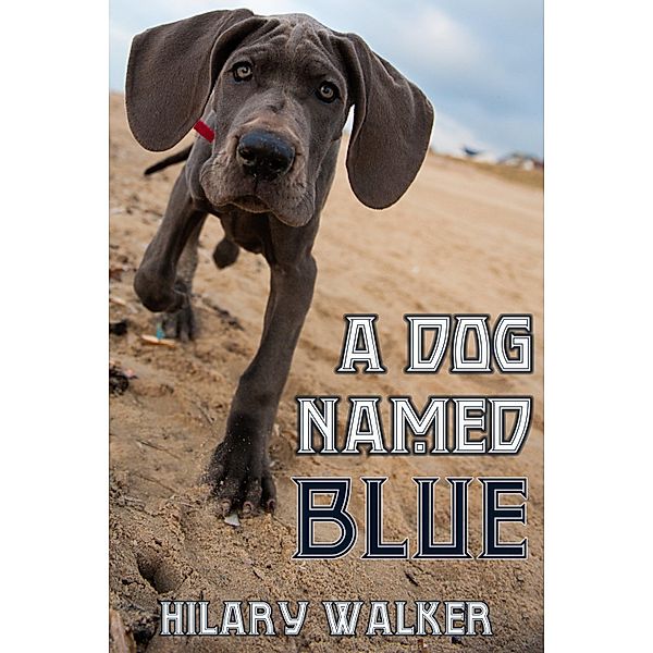 Dog Named Blue / JMS Books LLC, Hilary Walker