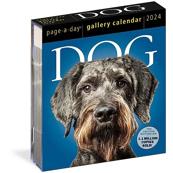 Dog Page-A-Day Gallery Calendar 2024, Workman Calendars