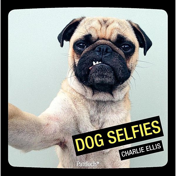 Dog Selfies, Charlie Ellis