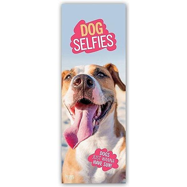 Dog Selfies - Hunde-Selfies 2021, BrownTrout Publishers