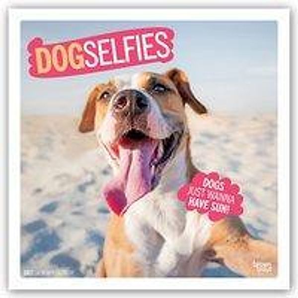 Dog Selfies - Hundeselfies - Hunde 2021 - 16-Monatskalender, BrownTrout Publisher