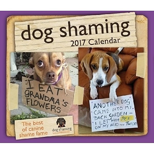 Dog Shaming 2018 Day-to-Day Calendar, Pascale Lemire