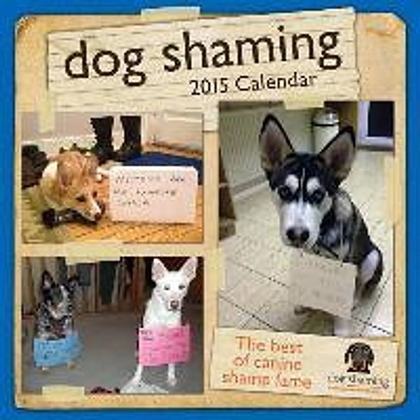 Dog Shaming Calendar: The Best of Canine Shame Fame, Pascale Lemire