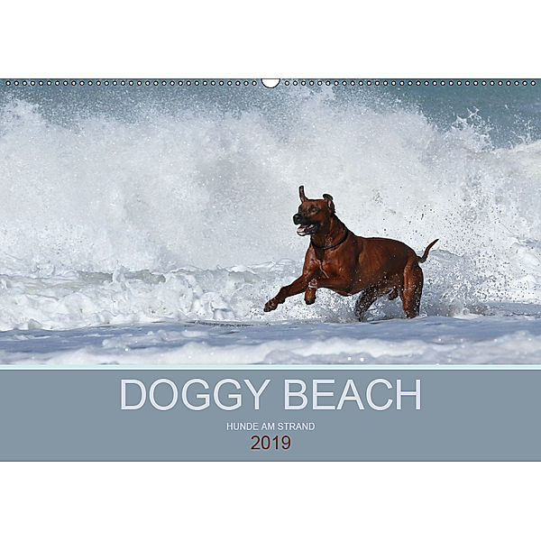 DOGGY BEACH - Hunde am Strand (Wandkalender 2019 DIN A2 quer), Petra Eckerl