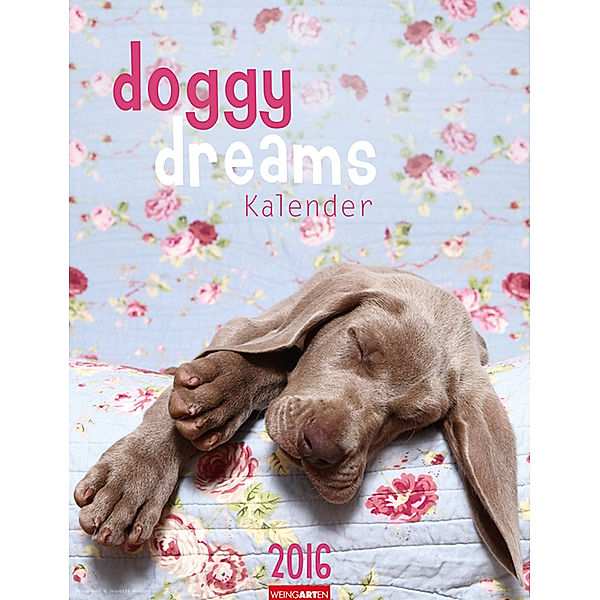 Doggy Dreams 2016