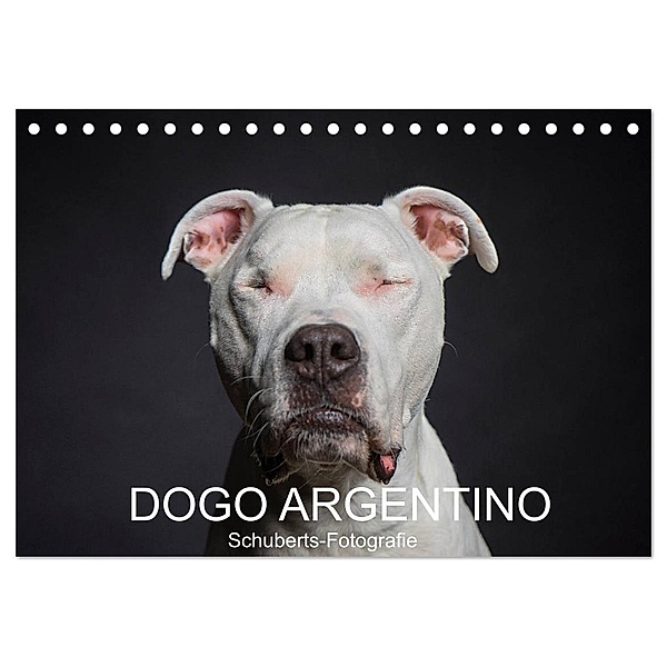 DOGO ARGENTINO (Tischkalender 2024 DIN A5 quer), CALVENDO Monatskalender, Schuberts-Fotografie