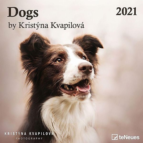 Dogs 2021