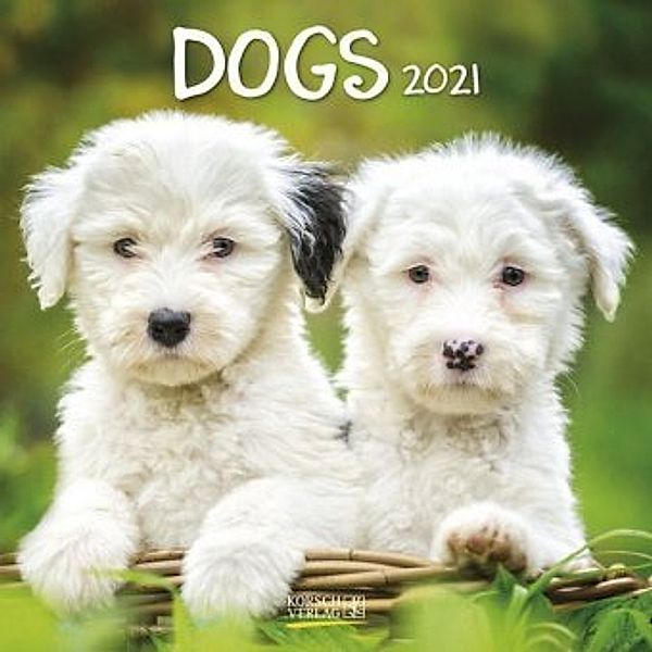 Dogs 2021