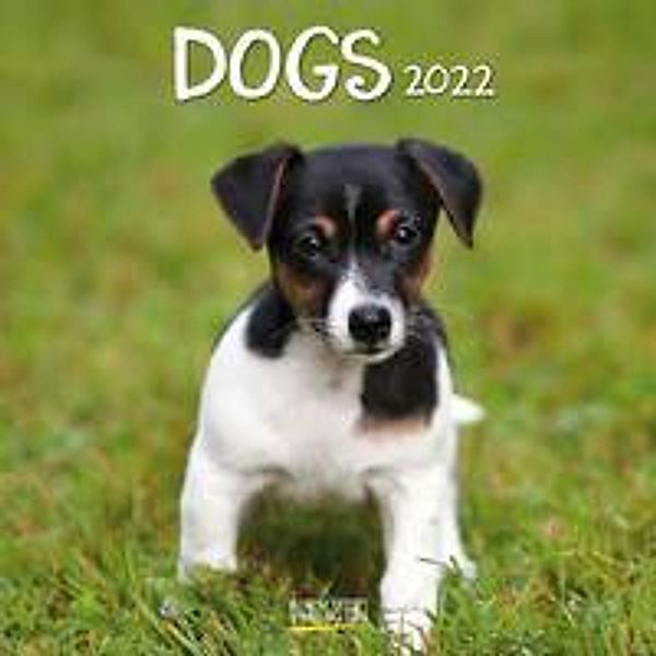 Dogs 2022