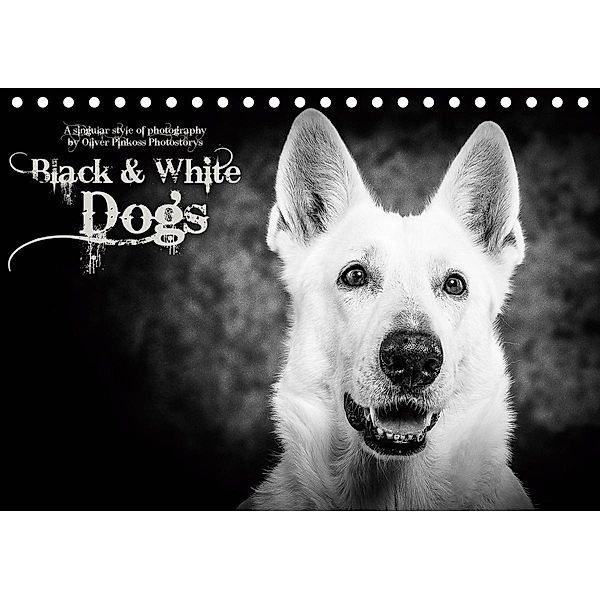 Dogs - Black & White (Tischkalender 2020 DIN A5 quer), Oliver Pinkoss