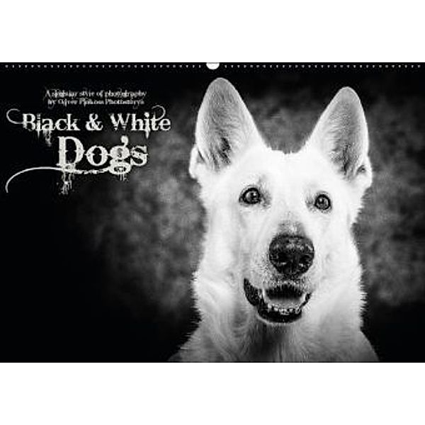 Dogs - Black & White (Wandkalender 2015 DIN A2 quer), Oliver Pinkoss