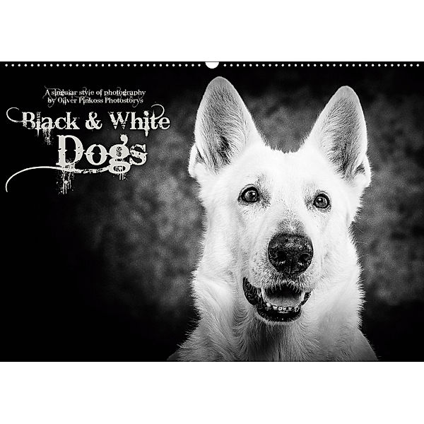 Dogs - Black & White (Wandkalender 2019 DIN A2 quer), Oliver Pinkoss