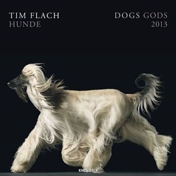 Dogs, Broschürenkalender 2012, Tim Flach