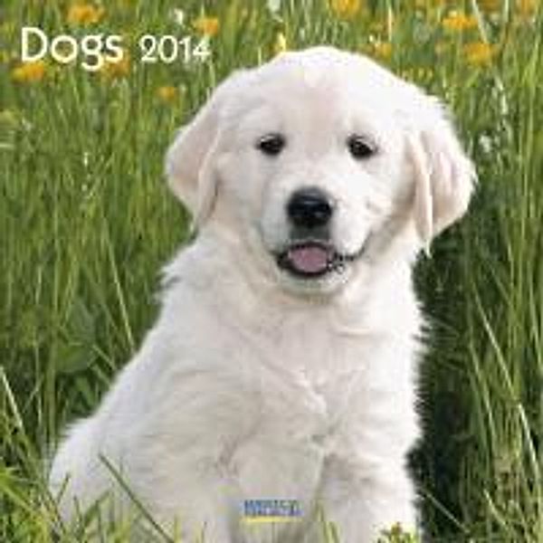 Dogs, Broschürenkalender 2014