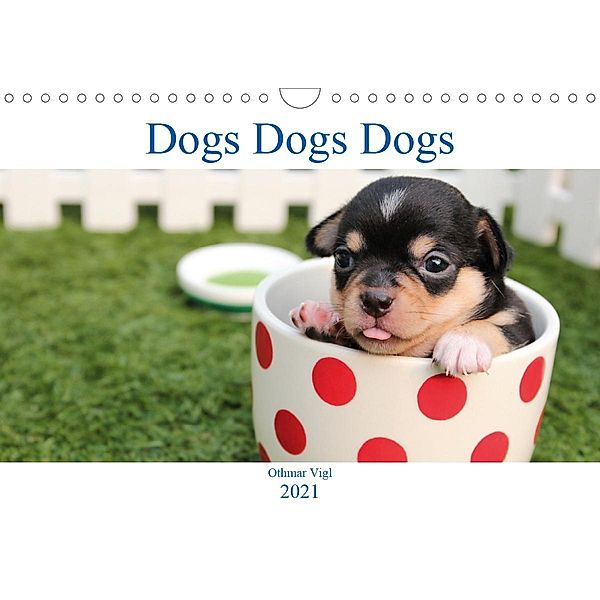 Dogs Dogs Dogs (Wall Calendar 2021 DIN A4 Landscape), Othmar Vigl
