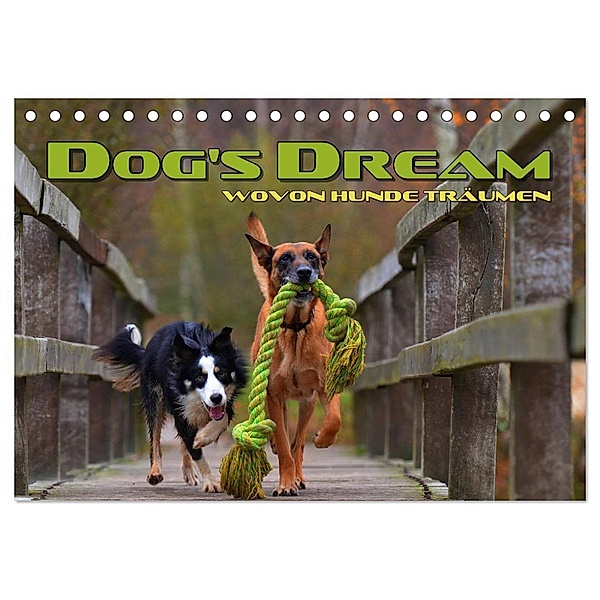 DOG'S DREAM - wovon Hunde träumen (Tischkalender 2025 DIN A5 quer), CALVENDO Monatskalender, Calvendo, Renate Bleicher