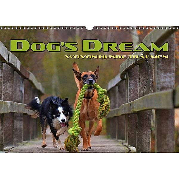 DOG'S DREAM - wovon Hunde träumen (Wandkalender 2017 DIN A3 quer), Renate Bleicher