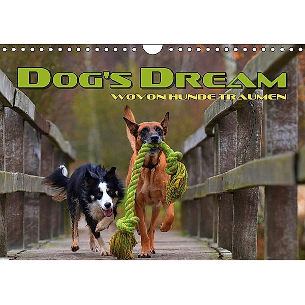 DOG'S DREAM - wovon Hunde träumen (Wandkalender 2018 DIN A4 quer) Dieser erfolgreiche Kalender wurde dieses Jahr mit gle, Renate Bleicher