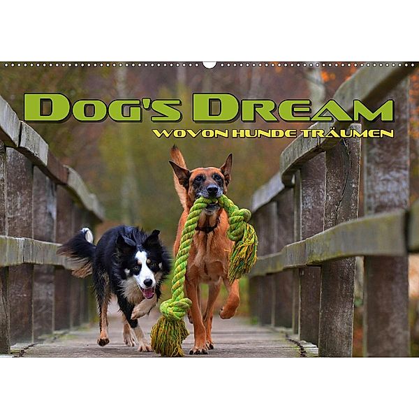 DOG'S DREAM - wovon Hunde träumen (Wandkalender 2020 DIN A2 quer), Renate Bleicher