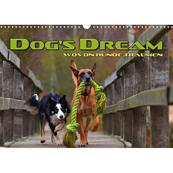 DOG'S DREAM - wovon Hunde träumen (Wandkalender 2022 DIN A3 quer), Renate Bleicher