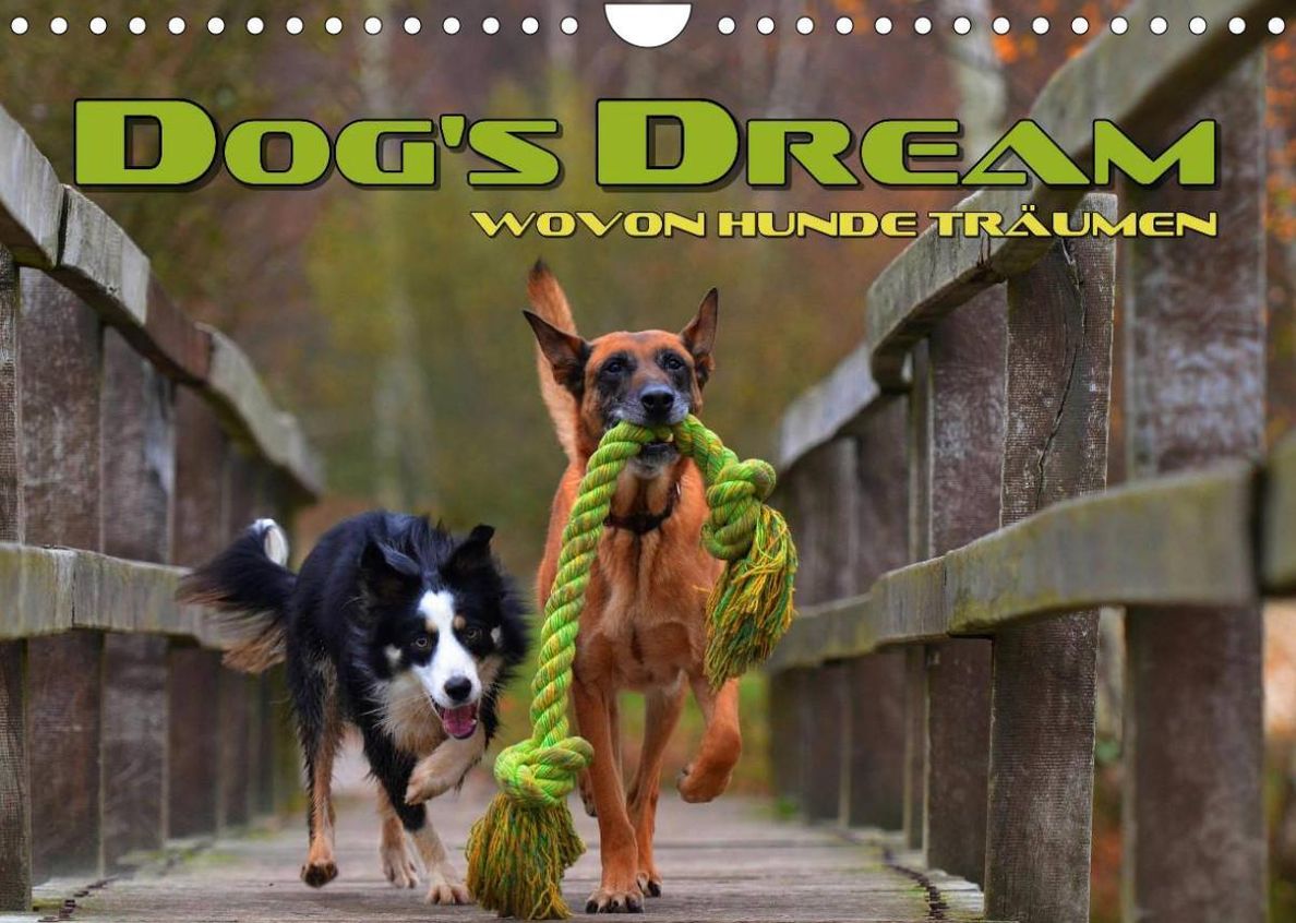 DOG'S DREAM - wovon Hunde träumen Wandkalender 2023 DIN A4 quer