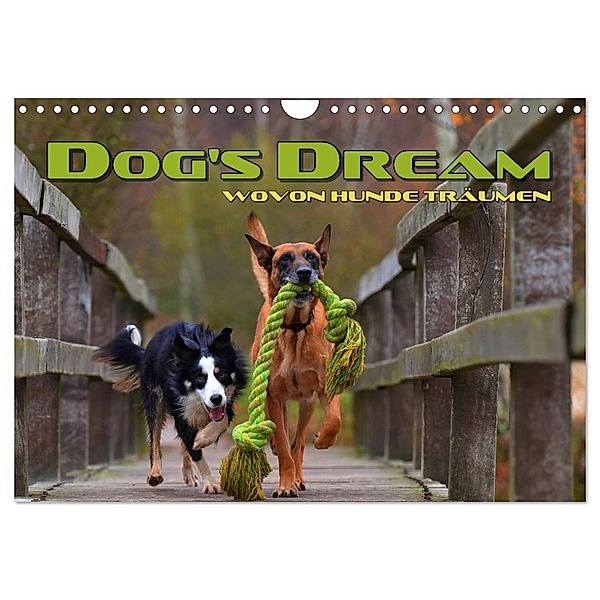 DOG'S DREAM - wovon Hunde träumen (Wandkalender 2024 DIN A4 quer), CALVENDO Monatskalender, Renate Bleicher