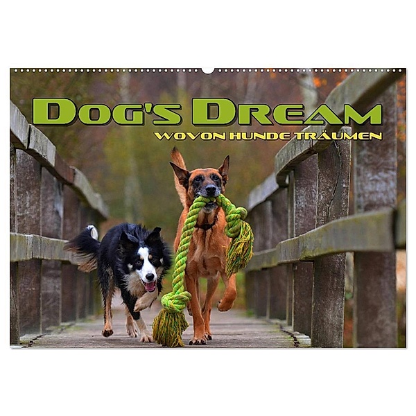 DOG'S DREAM - wovon Hunde träumen (Wandkalender 2025 DIN A2 quer), CALVENDO Monatskalender, Calvendo, Renate Bleicher