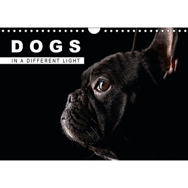 Dogs in a different Light (Wandkalender 2015 DIN A4 quer), Claudia Becker